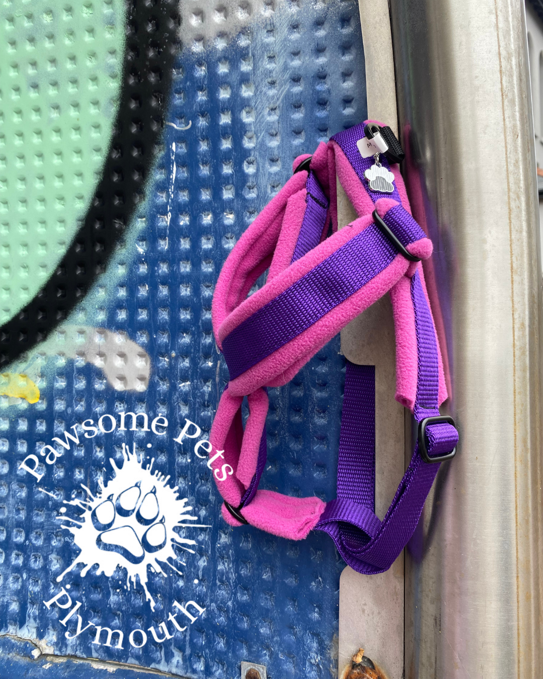 Purple and pink dog harness on a textured surface with 'Pawsome Pets Plymouth' branding.