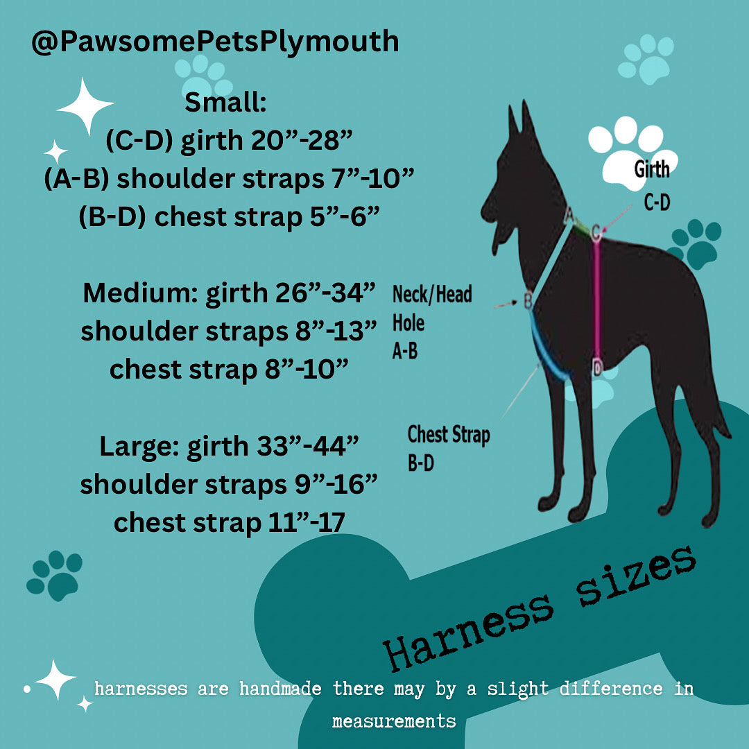 Dog harness size chart with measurements on a blue background