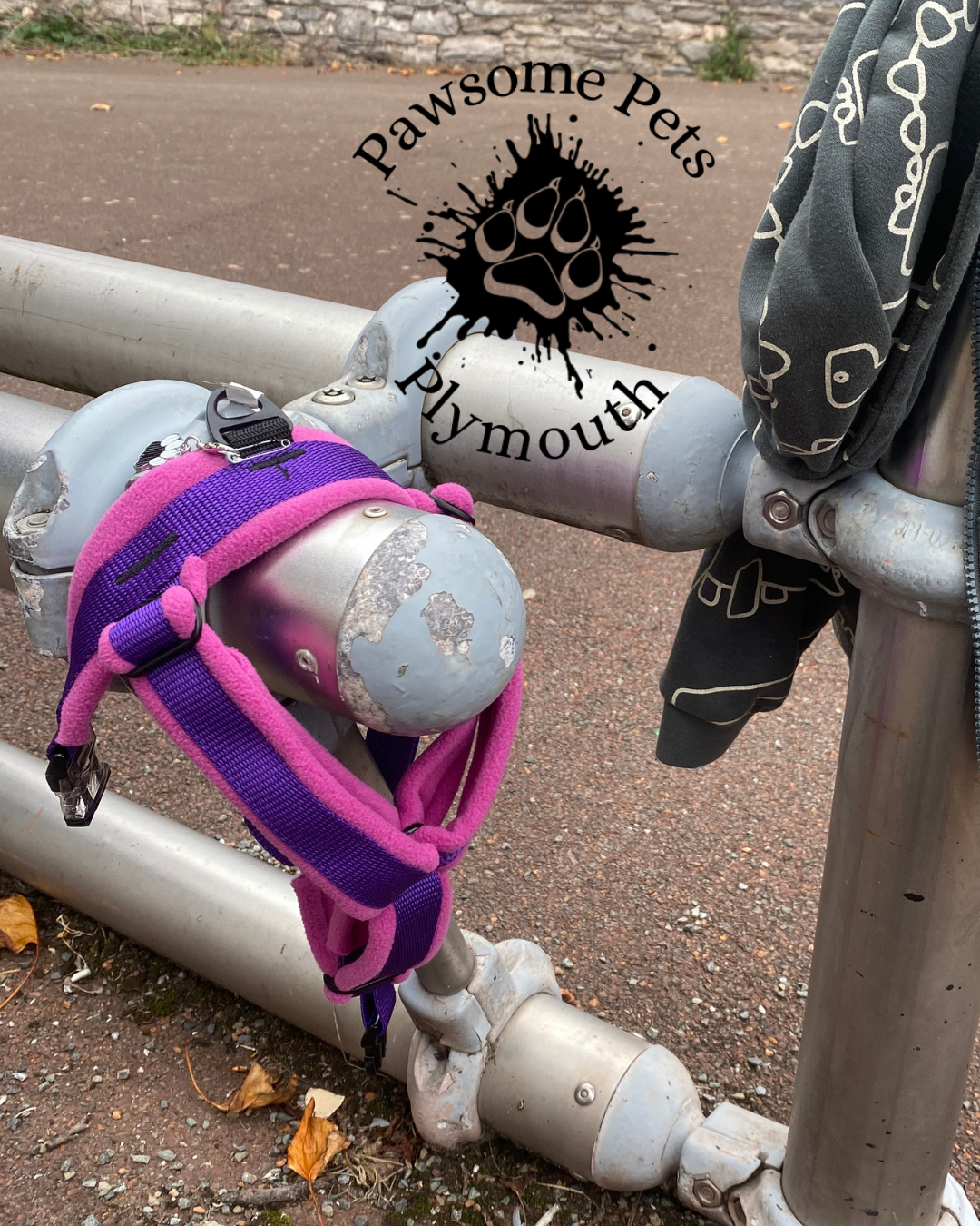 Assistance dog Y front harness