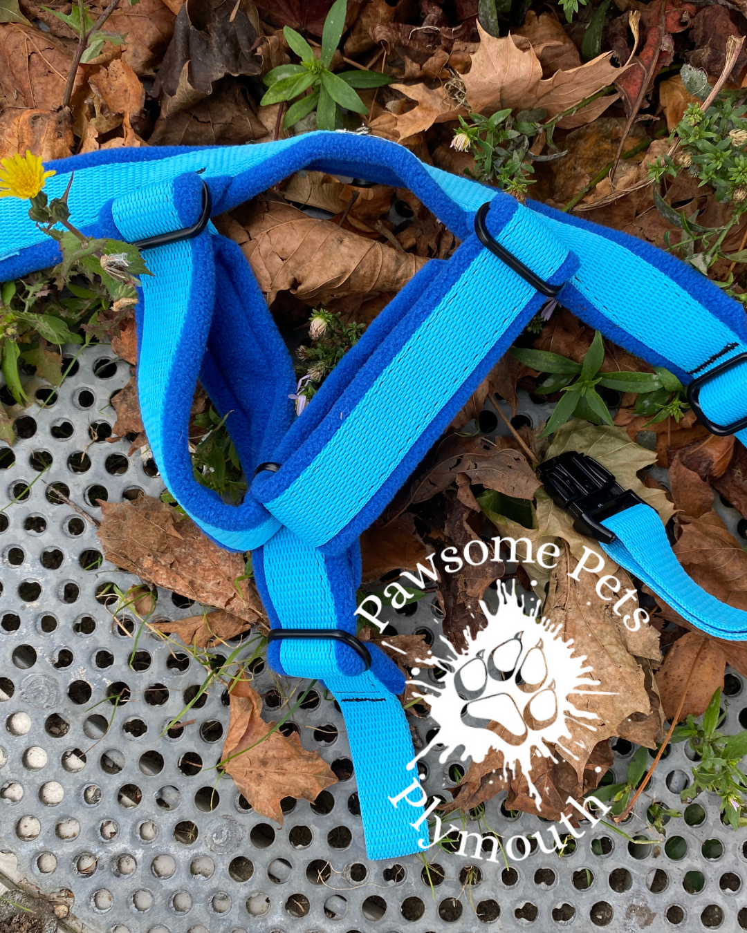 Blue pet harness on a metal surface with leaves and grass
