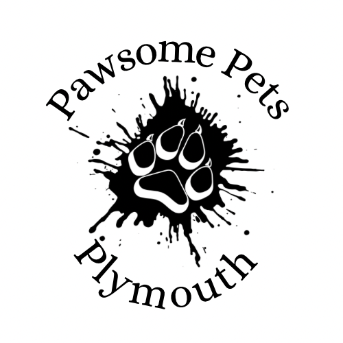 Assistance dog Y front harness