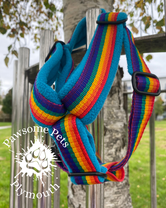 Rainbow webbing and sky blue fleece dog harness with 'Pawsome Pets Plymouth' branding against a natural background.