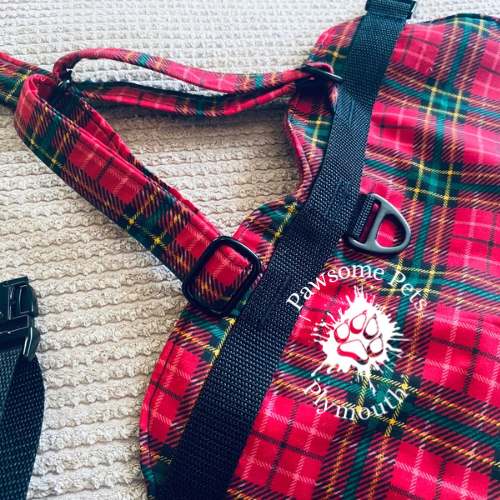 Fabric lined hybrid Y front harness #2