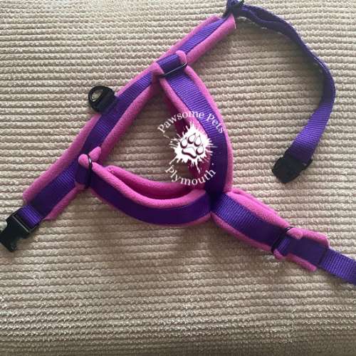 small purple webbing fleece lined Y front harness
