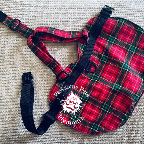 Fabric lined hybrid Y front harness #2