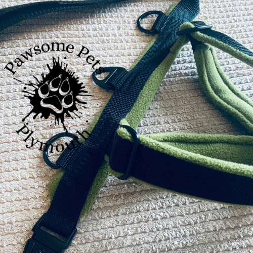 medium black webbing fleece lined Y front harness