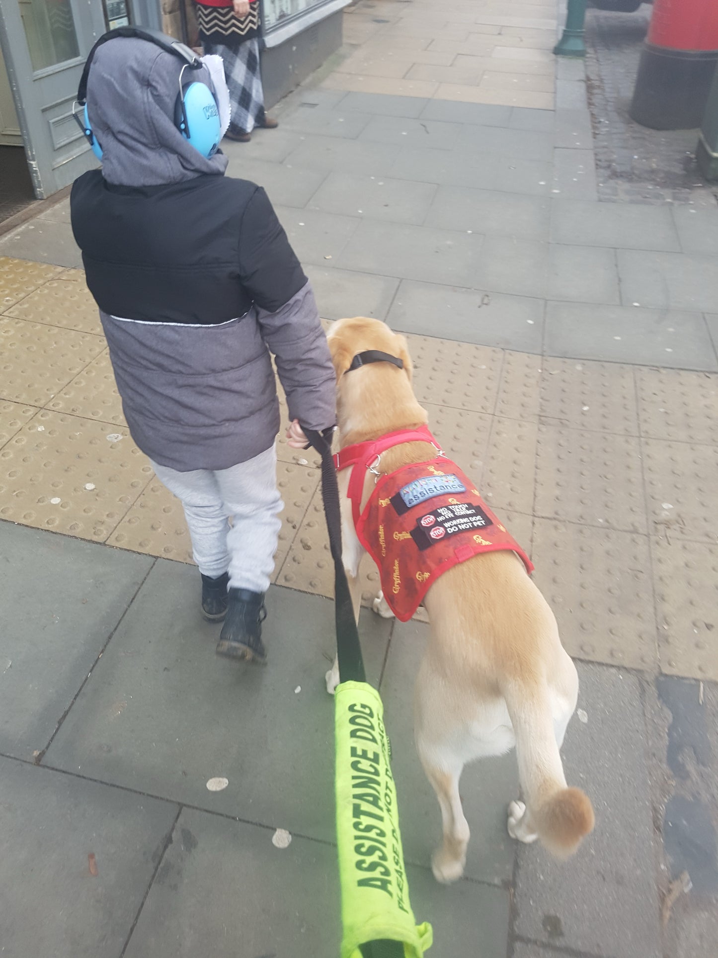 Person walking a assistance dog on a leash in an urban setting