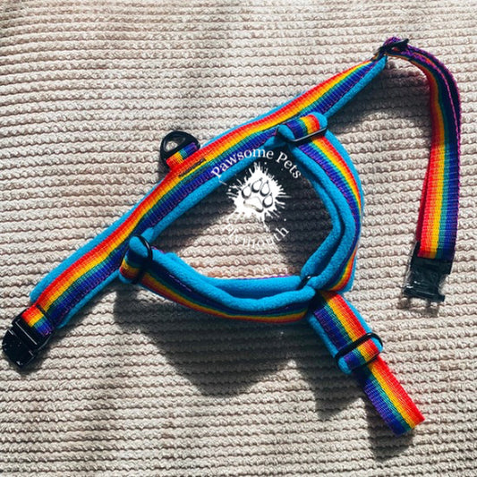large rainbow webbing fleece lined Y front harness