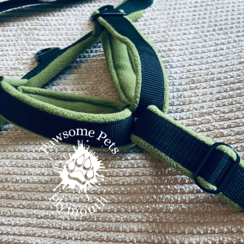 medium black webbing fleece lined Y front harness