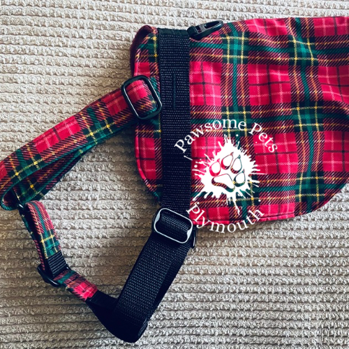 Fabric lined hybrid Y front harness #2