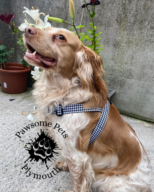 Fabric lined Y front harness #1