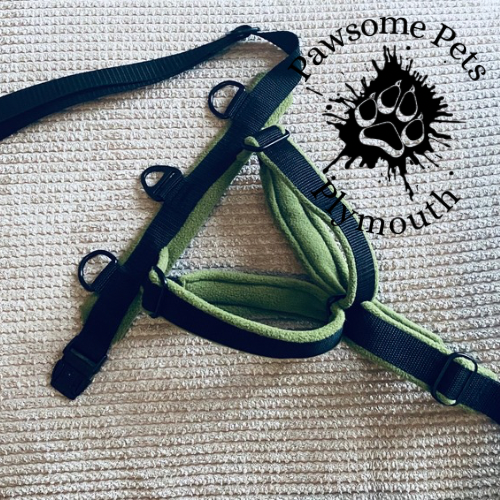 medium black webbing fleece lined Y front harness