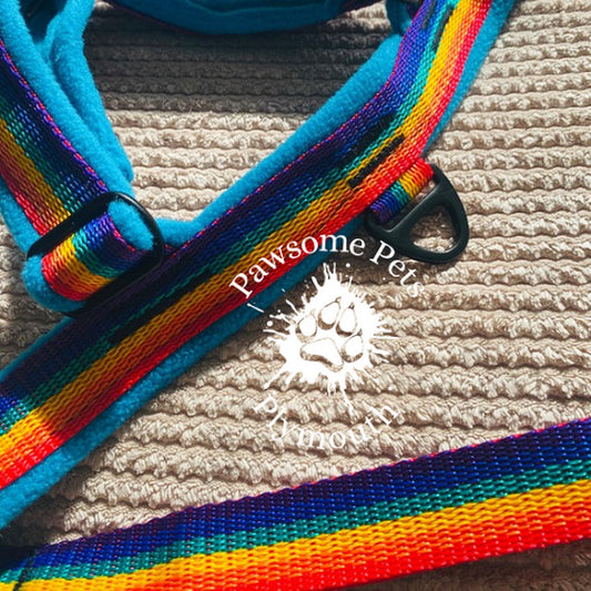 small rainbow webbing fleece lined Y front harness