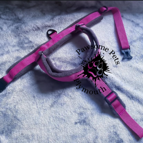 small cerise pink webbing fleece lined Y front harness