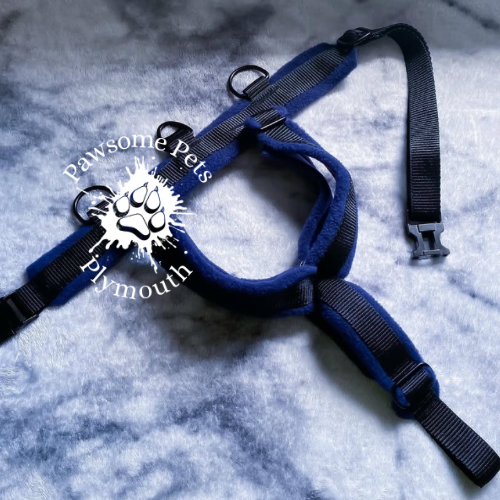 medium black webbing fleece lined Y front harness