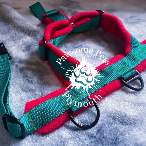 large forest green webbing fleece lined Y front harness