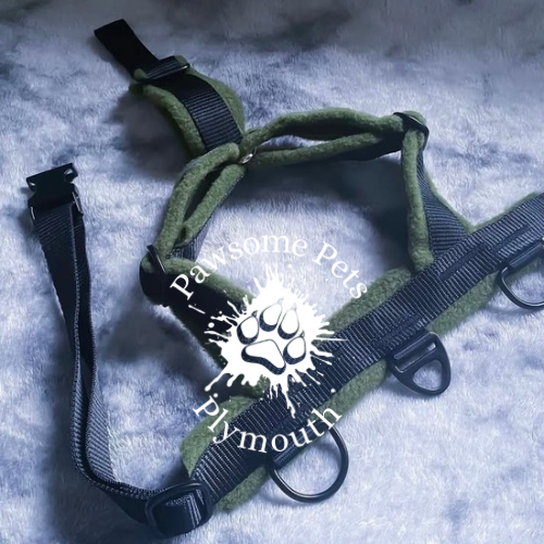 large black webbing fleece lined Y front harness