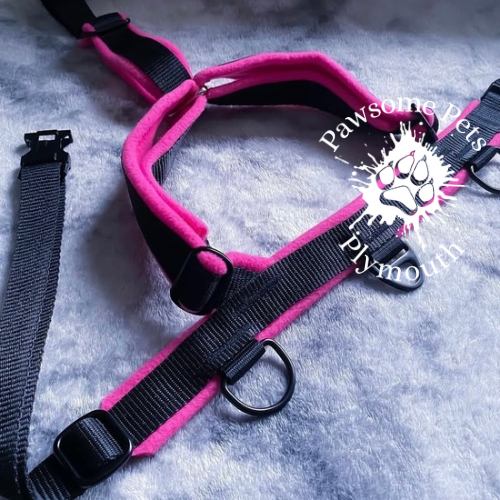 medium black webbing fleece lined Y front harness