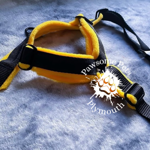 medium black webbing fleece lined Y front harness