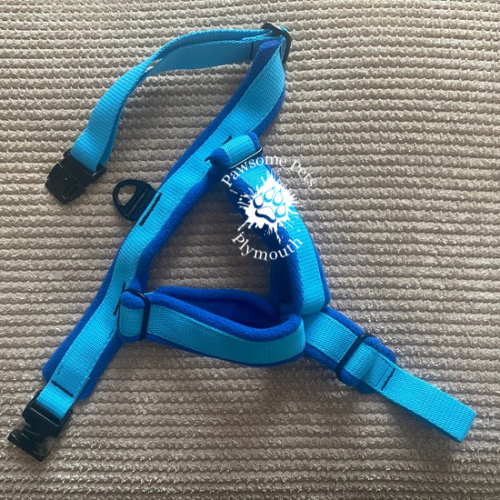 large sky blue webbing fleece lined Y front harness